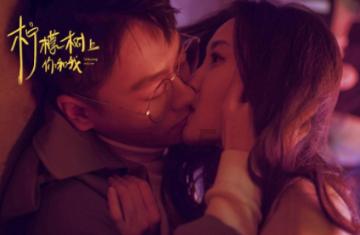 冷知识分享平台-哪里有流浪猫?,发现更多有趣的冷知识